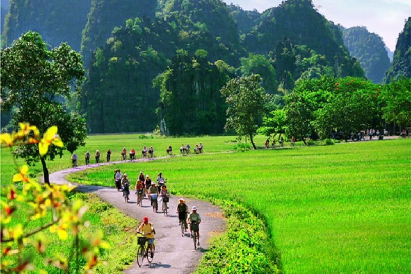 Ninh Binh Biking Via Rice Terrace