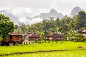 Ha-Giang-Loop-tours-by-cheers-hostel