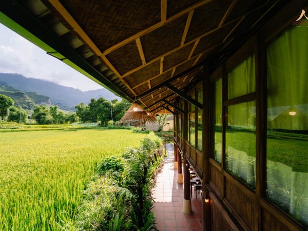 Ha-Giang-Loop-tours-by-cheers-hostel