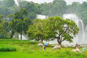 ban-gioc-waterfall