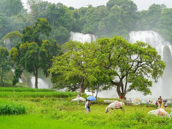 ban-gioc-waterfall